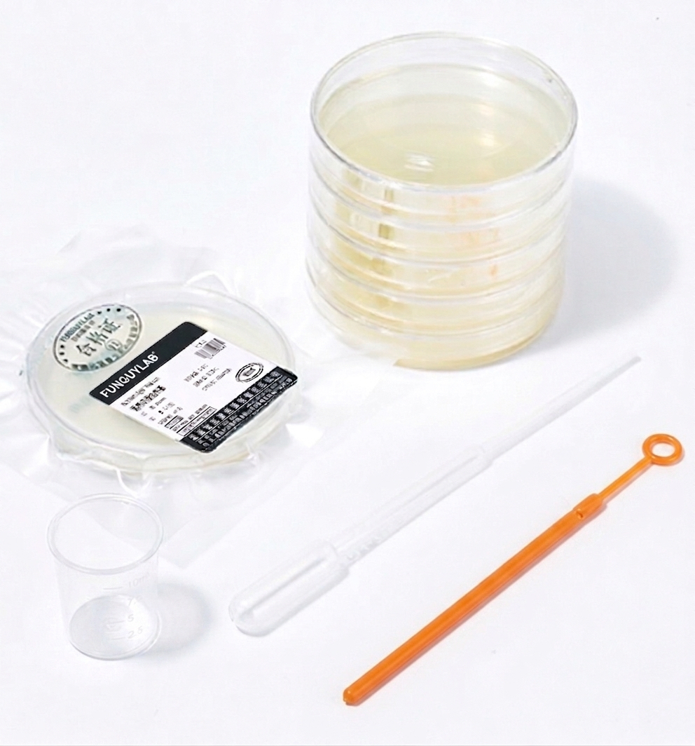 Agar plate prepared and ready for inoculation