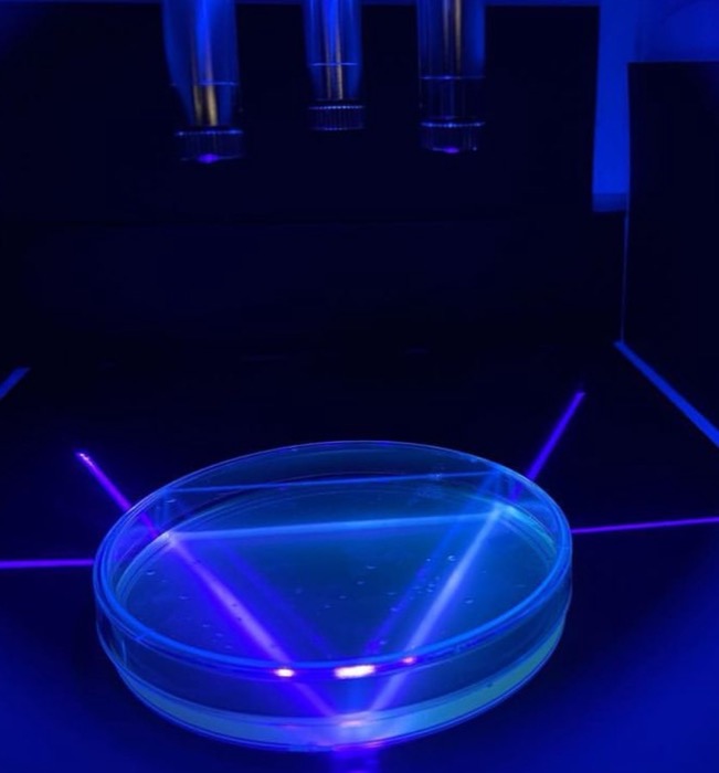 A kitchen lab at home