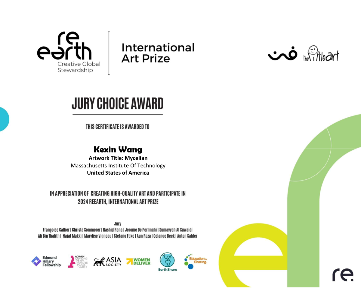 reEarth International Art Prize — Jury Choice Award