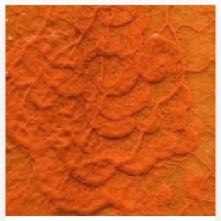 Ooze Orange — orange dyed slime mold