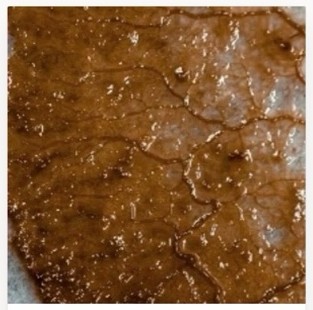 Caramel Culture — brown dyed slime mold