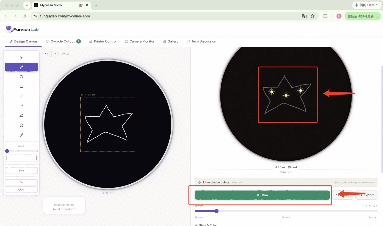 Mycelian Micro web app — simulator previewing growth from placed inoculation points